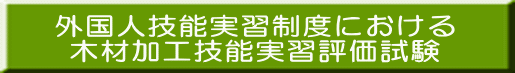 外国人技能実習制度における 木材加工技能実習評価試験
